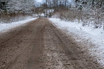 snow mixed with mud on local forest road