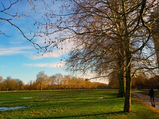 Autumn in the park