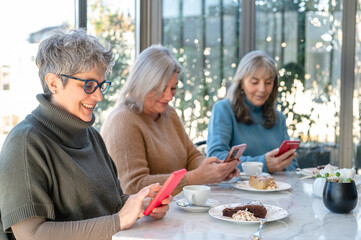 Three female elder friends using smart phone and social network, mature women technology lifestyle, cafeteria and beakfast moment