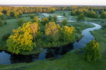Forest in summer colors. Green deciduous trees and winding blue river in sunset. Soomaa wooded meadow, Estonia, Europe