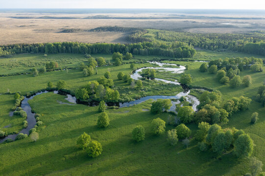 Forest in summer colors. Green deciduous trees and winding blue river in sunset. Soomaa wooded meadow, Estonia, Europe