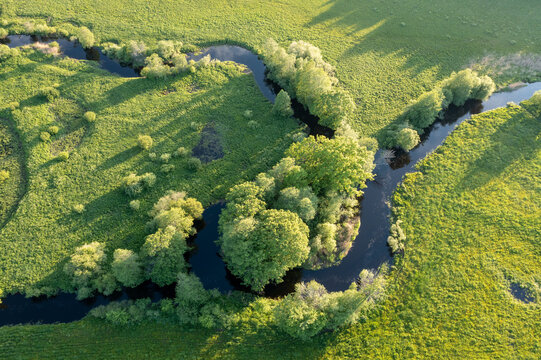 Forest in summer colors. Green deciduous trees and winding blue river in sunset. Soomaa wooded meadow, Estonia, Europe