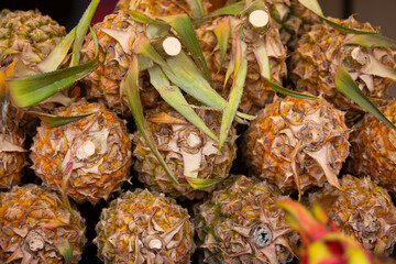 Pineapples close-up as a background. Harvest of pineapples lie in a pile. Fresh tropical fruits.