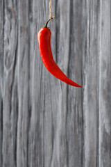 Red chili pepper hanging against a gray wooden background and space for text. Close-up