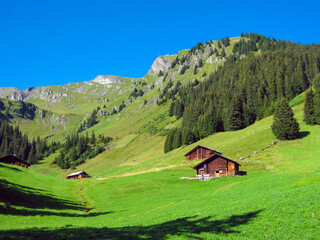 old mountain chalet landscape in the Alps