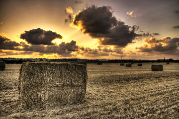 Bales of hay with sunset