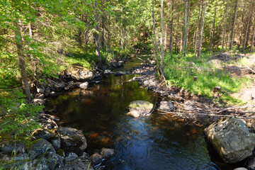 Naklejka na ściany i meble Der St. Olavsweg zwischen Tangen und Hamar führt durch Wälder, über Stege, entlang von Bächen und kleinen Seen. Gudbrandsdalsleden ist der Pilgerweg von Oslo nach Trondheim.