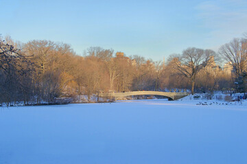 snow on lake in central park with bow bridge and geese in afternoon light