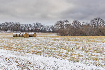 A group of large round bales in a hay field on a stormy day with a dusting of snow.