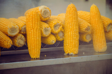 Street food - Fresh hot boiled corn for sell