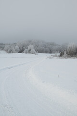 Fototapeta na wymiar Snowy winter road to the frosty forest covered hill in fog and mist