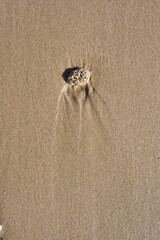 Background created from the sand on the beach.