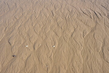 Background created from the sand on the beach.
