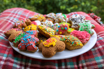Homemade decorated gingerbread Christmas cookies on the plate