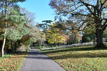 Kilkenny Castle Park, Kilkenny, Ireland