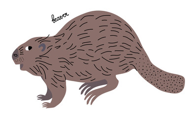 Beaver vector illustration. Standing. Cartoon, flat style with lettering. Wetland animal.
