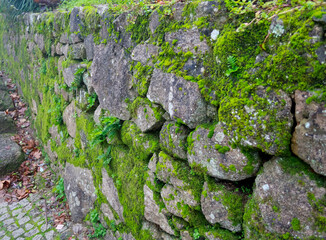 An old stone wall overgrown with moss