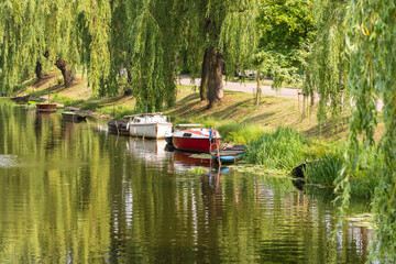 Boats, yachts and motorboats moor at the shore among willows on a sunny day. Summer.
