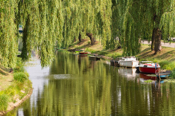 Boats, yachts and motorboats moor at the shore among willows on a sunny day. Summer.