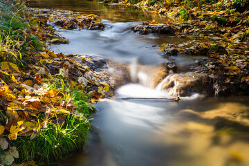 Fototapeta na wymiar small creek in autumn with golden leaves at the riverbank long exposure in the sunlight