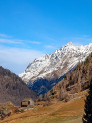 Fototapeta na wymiar snowy peaks - alpine scene