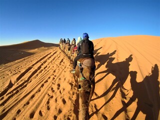 Merzouga, Maroko, wielbłądy na pustyni, karawana - obrazy, fototapety, plakaty
