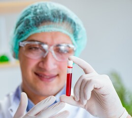 Young doctor working on blood test in lab hospital