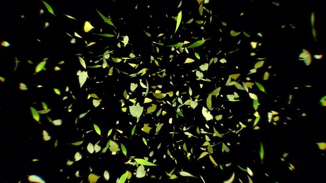Leaf explosion flying in to camera with 3d animation.Floating leaf 3d rendering include alpha matte.