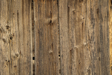 Door pine detail