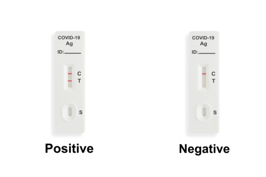Rapid antigen test kit with positive and negative result during swab COVID 19 testing. Transparent background