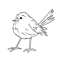 Linear sketch of a small bird. Wind graphics.