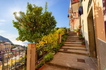 Fototapeta na wymiar Colorful apartment homes and Lemon Tree in touristic town, Riomaggiore, Italy. Cinque Terre National Park
