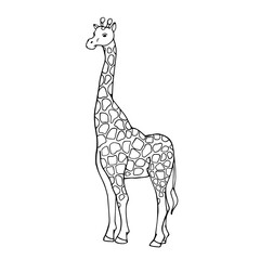 Linear sketch of a wild animal of the African savannah, the giraffe. Vector graphics.
