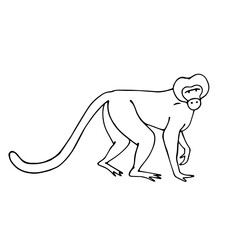 Linear sketch of a wild animal of the African savannah, monkey. Vector graphics.