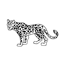 Linear sketch of a wild feline, cheetah. Vector graphics.