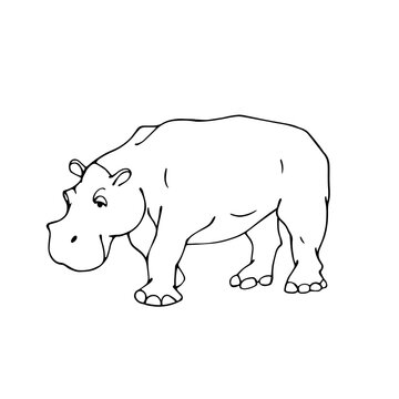 Linear sketch of a wild animal of the African savannah, hippopotamus. Vector graphics.