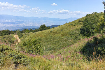 Naklejka premium Summer landscape of Belasitsa Mountain, Bulgaria