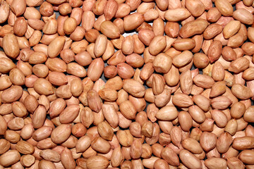 Peeled dried Peanuts