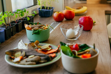 Vegetable peelings and eggshells on the plate and in bowls