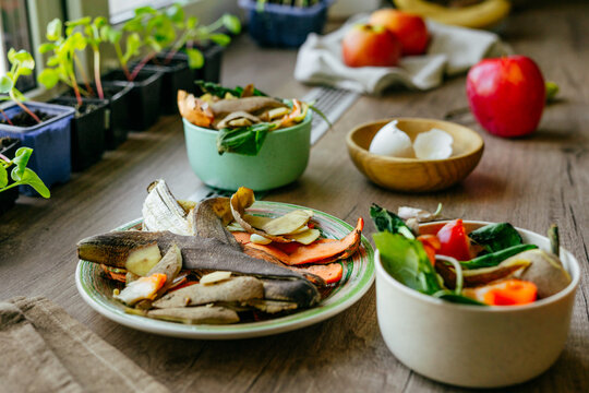 Vegetable peelings and eggshells on the plate and in bowls