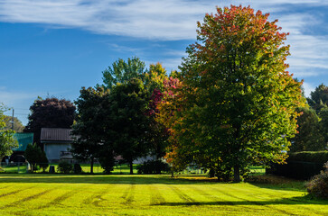 Sidelit view of a freshly mowed park lawn in the autumn morning sun.