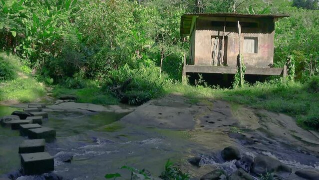 casa abandonada en lo profundo del bosque sal de frutas tutunendo choco
