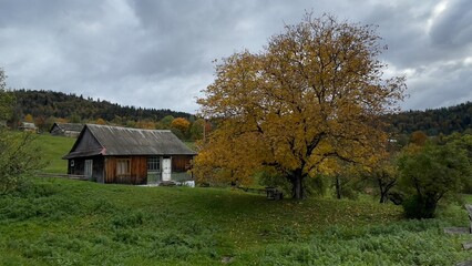 Fototapeta na wymiar Old wooden houses in the forest in autumn, Carpathian Ukraine