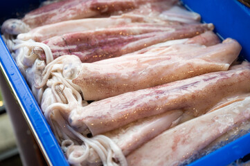 fish, market, fish market, seafood, seafood market, meat, food, fresh, squid, grill, sea, shop, prawn, clams, devil fish,