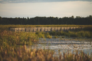Frink Conservation Area in Ontario, Canada. Wildlife and nature preserve for local visitors to see...