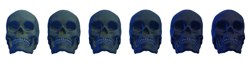 skull human,  skeleton