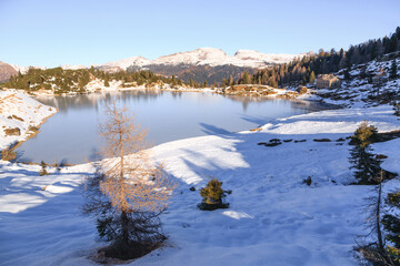 Colbricon lakes winter view, San martino di Castrozza, Italy