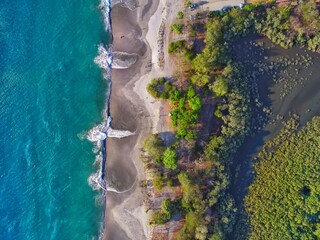 aerial view of sea ,sand and trees