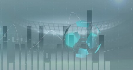 Animation of financial data processing football and sports stadium - Powered by Adobe