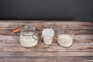 Sourdough starter